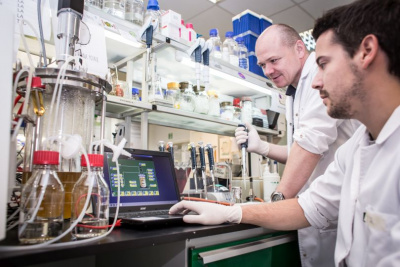 Na zdjęciu naukowcy podczas badań w jednym z laboratoriów Biotechnologii UG