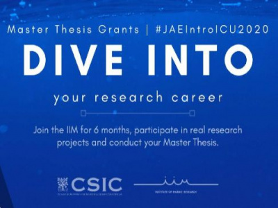 Staż w ramach programu JAE Intro ICUs 2020.