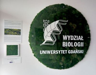 Obraz z mchu – kolejna ekspozycja w budynku Wydziału Biologii UG