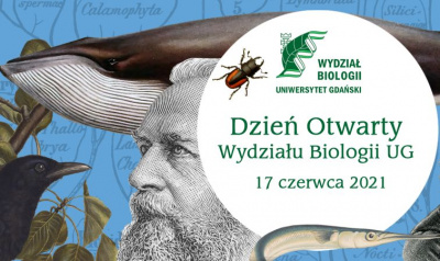 Zdjęcie poglądowe