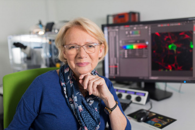 prof. Krystyna Bieńkowska - Szewczyk