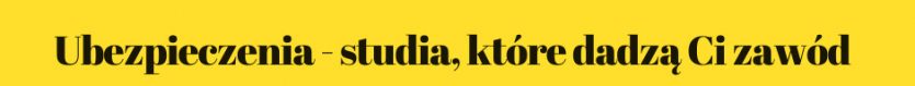 Ubezpieczenia - grafika