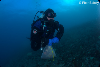 Diving. Dominika Saniewska