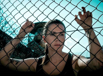 Państwo w państwie 