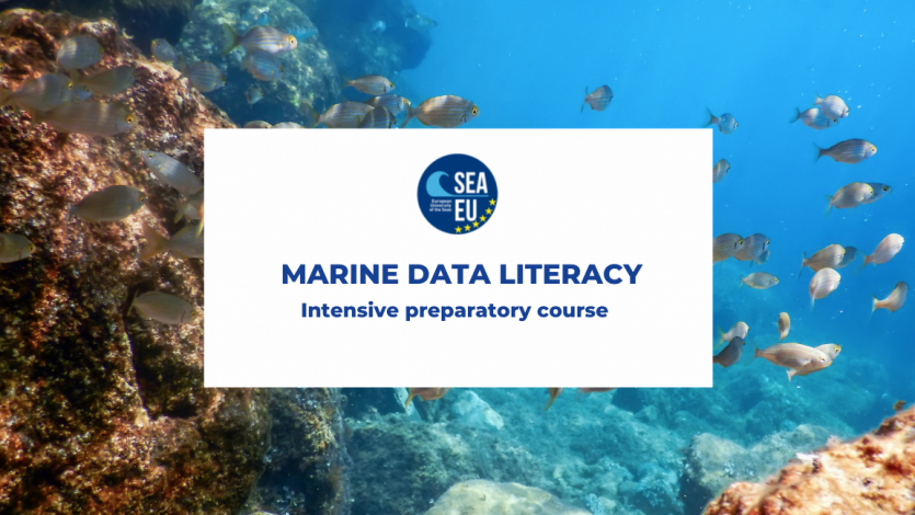 Kurs Marine Data L