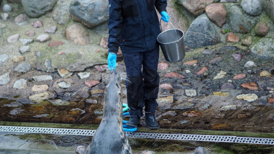 fot. Marcel Jakubowski