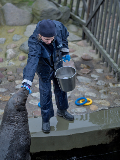 fot. Marcel Jakubowski