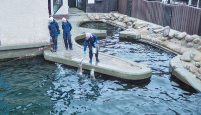 fot. Marcel Jakubowski