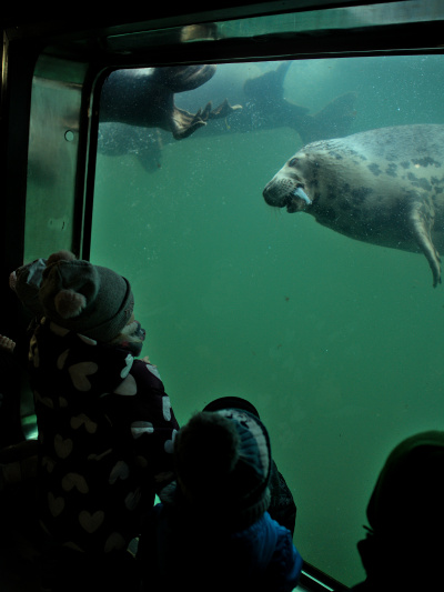 fot. Marcel Jakubowski