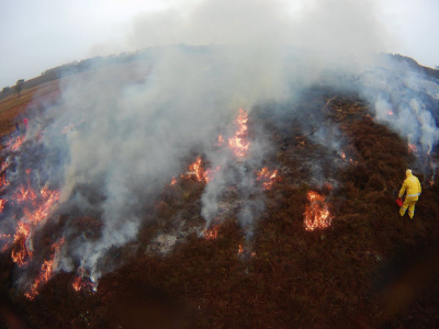 Jeden z eksperymentalnych pożarów. Na zdjęciu prof. Claire Belcher. fot. Claire Belcher 