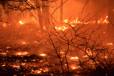Eksperymentalny pożar w New Jersey USA