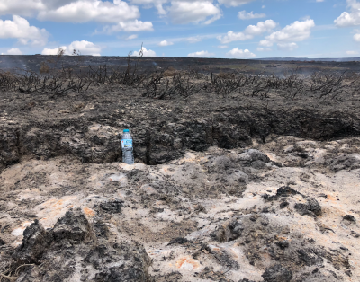 Pokłosie pożaru torfowiska w Saddleworth Moor w Wielkiej Brytanii