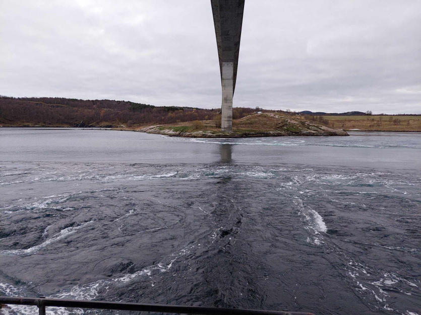 Saltstraumen