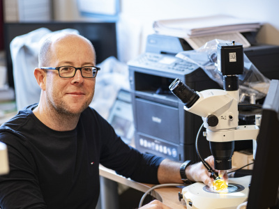 prof. Vincent Perrichot