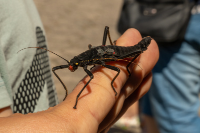 Fot. Matuesz Byczkowski 