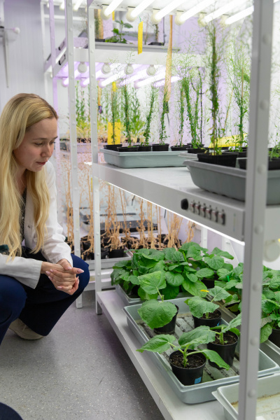 dr Sylwia Klińska-Bąchor