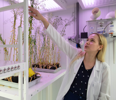 dr Sylwia Klińska-Bąchor