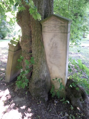 1. Cmentarz mennonicko-ewangelicki w Fiszewie