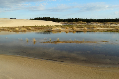 Słowiński Park Narodowy; fot. M. Jędro 
