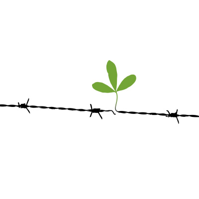 fot. mat. promocyjne