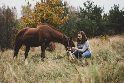 Zdjęcie do aukcji 30. Spotkanie ze Stadem koni