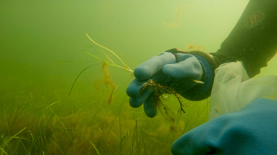 fot. Krystian Bielatowicz