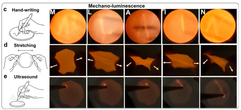 fot. Science Advances / screen