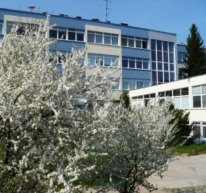 Matematyka