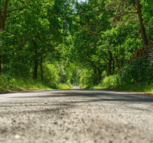 Image by kay from Pixabay