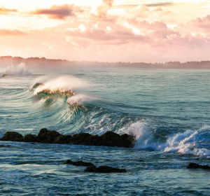 Image by Kanenori from Pixabay