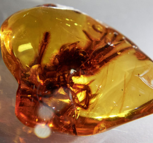 fot. PAP/Adam Warżawa