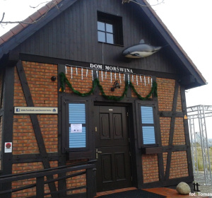 Fot. Tomasz Jaworski/Stacja Morska Hel