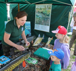 fot. Maciej Krajewski