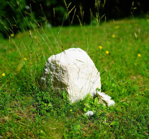 Image by Hans from Pixabay