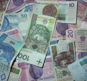 Image by Fz from Pixabay