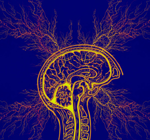 Image by Gerd Altmann from Pixabay