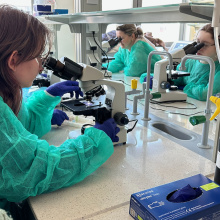 zajęcia laboratoryjne
