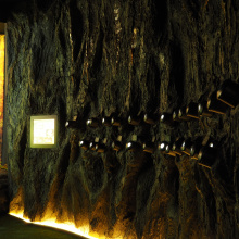 Muzeum Inkluzji w Bursztynie, fot. dr Elżbieta Sontag