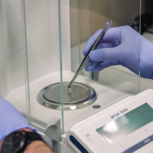 Fot. Alan Stocki/UG.