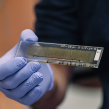 Fot. Alan Stocki/UG.