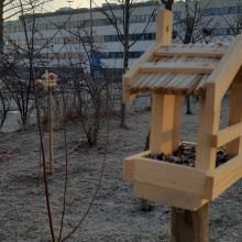 Feeders in the Eco-Park