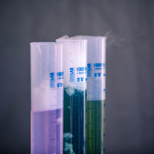 Photo by Alan Stocki/UG