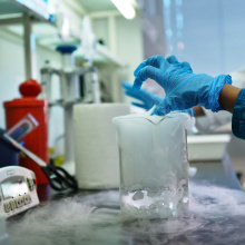 photo by Marcel Jakubowski 