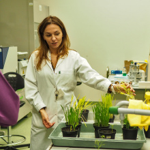 fot. Marcel Jakubowski