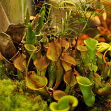 fot. Marcel Jakubowski