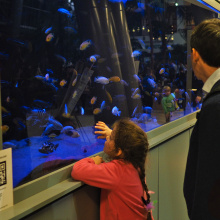 fot. Marcel Jakubowski