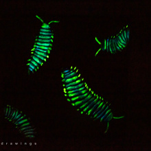 fot. Rafał Mielczarek/WB 