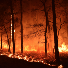 Pożar kontrolowany New Jersey