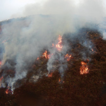 Jeden z eksperymentalnych pożarów. Na zdjęciu prof. Claire Belcher.