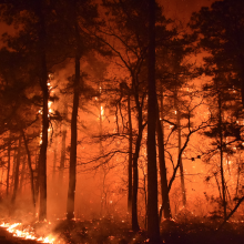 Pożar kontrolowany New Jersey